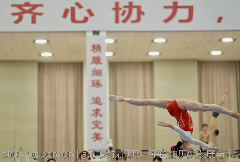 体验ag真人安卓下载的多样化功能